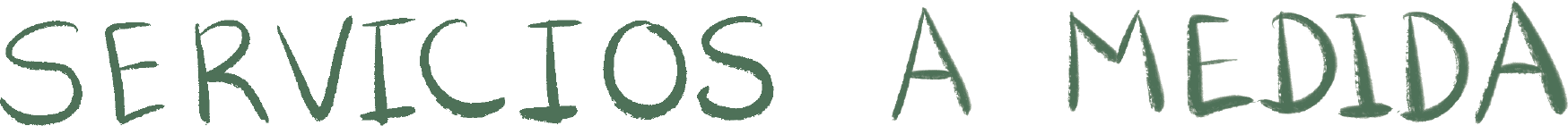 Servicios a medida