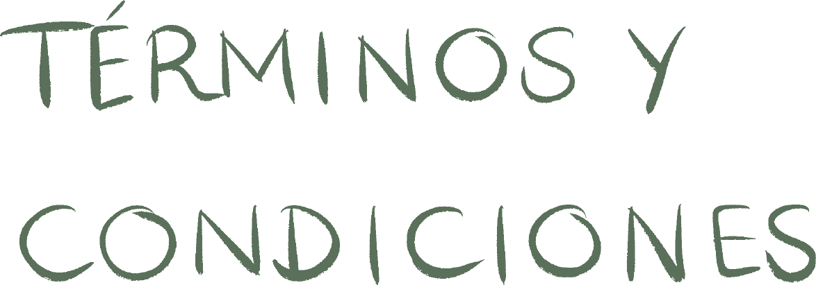 Términos y condiciones